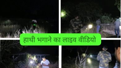 IMG 20250326 WA0008