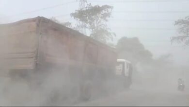 IMG 20250320 12103155