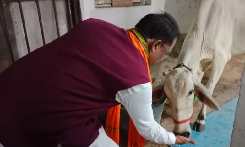 गौ-सेवा से ही मिलती है सच्ची शांति और ऊर्जा : मुख्यमंत्री श्री विष्णु देव साय 1 IMG 20250907 WA0049