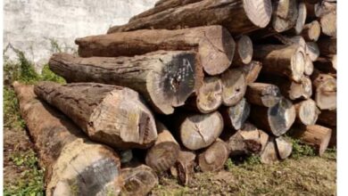 612916H e9L. UF8941000 QL80