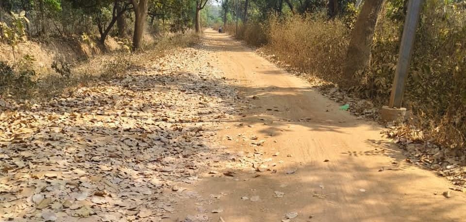 छाल-खरसिया मुख्य मार्ग 22 करोड़ रूपये से बनेगा,, हाटी–पुरुंगा तक बनेगी मुरूम सड़क 3 1001932523