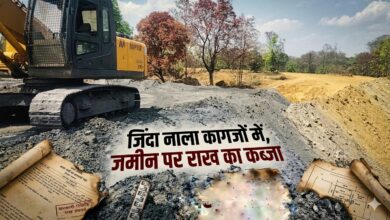 जिंदा नाला कागजों में, जमीन पर राख का कब्जा 3 1000522674