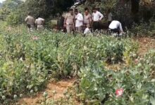 IMG 20260321 14275289