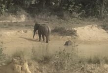 IMG 20260524 WA0029