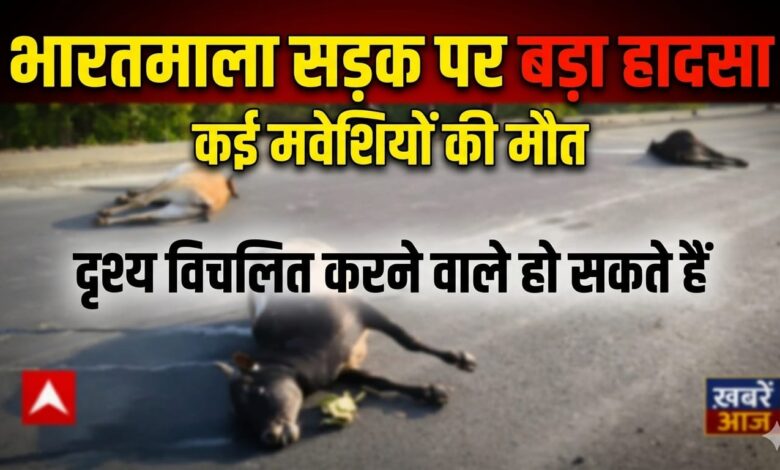 धरमजयगढ़ में भारतमाला सड़क पर मौत का तांडव: 7 बैलों को कुचला, 5 की मौत, सड़क पर बिछीं लाशें, एर्टिगा भी चपेट में 1 IMG 20260531 WA0011