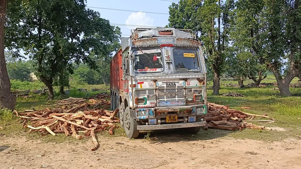 खोज रहें थे हाथी मिल गया लकड़ी तस्करी करता ट्रक, ट्रक छोड़ भागा ड्राइवर। 2 1003570372