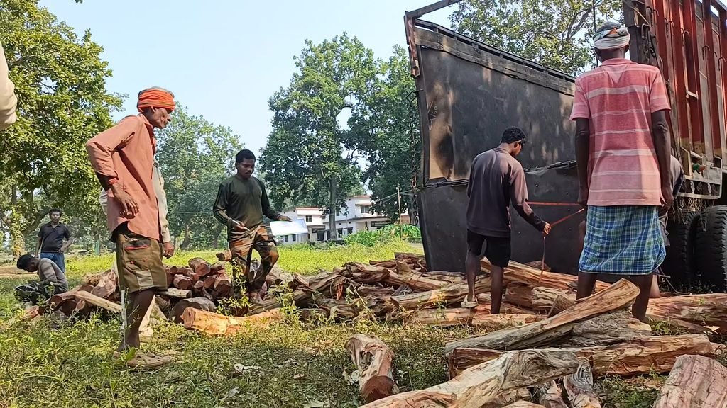 खोज रहें थे हाथी मिल गया लकड़ी तस्करी करता ट्रक, ट्रक छोड़ भागा ड्राइवर। 3 1003570388